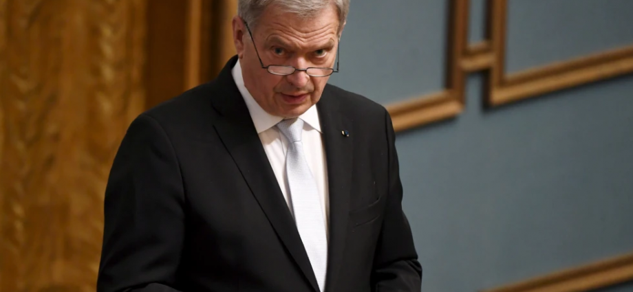 President Niinistö betonade temat tillsammans i sitt tal inför riksmötets öppnande